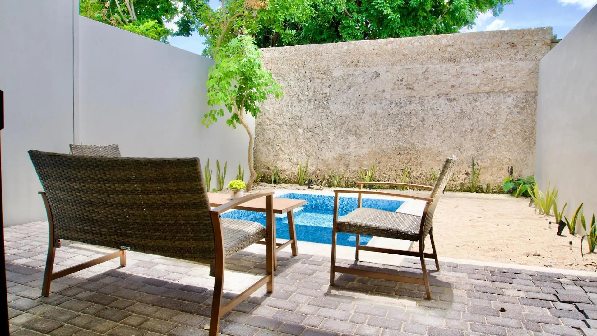 Casa Arbol 350 Mbs Appartement Mérida
